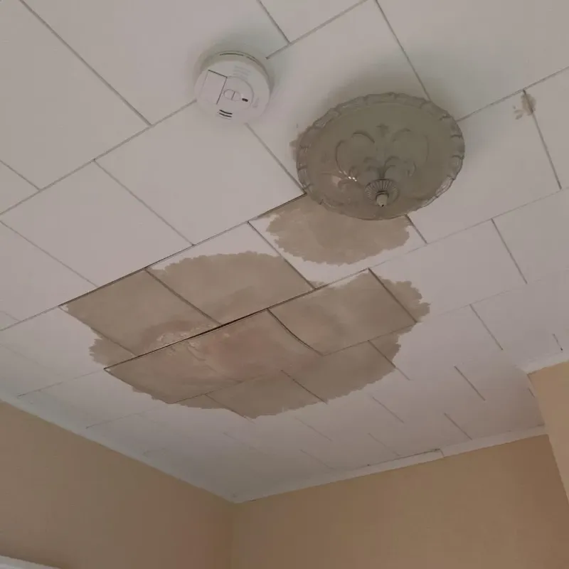 Ceiling Water Damage Repair in Harvey County, KS