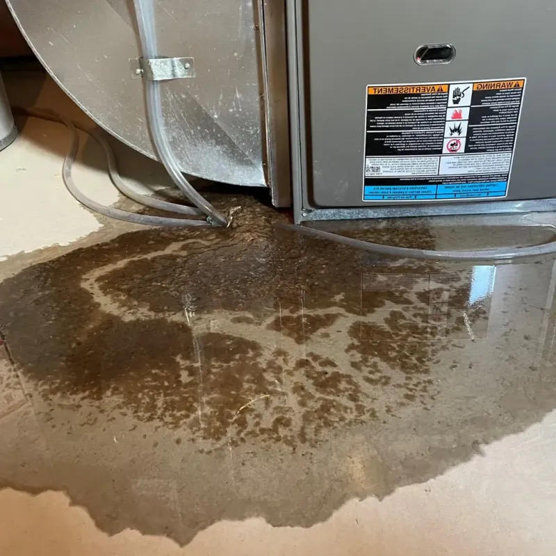 Pipe Burst and Leak Restoration in Harvey County, KS