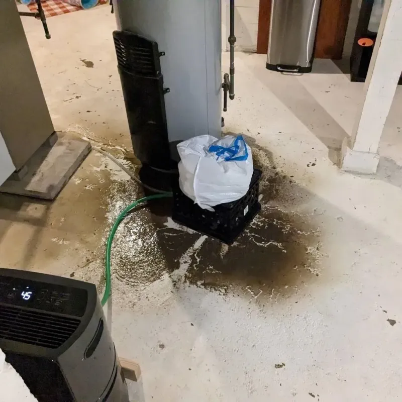 Sewage Backup Cleanup Service in Harvey County, KS